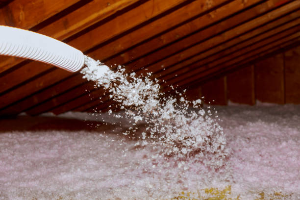 Types of Insulation We Offer in Duarte, CA